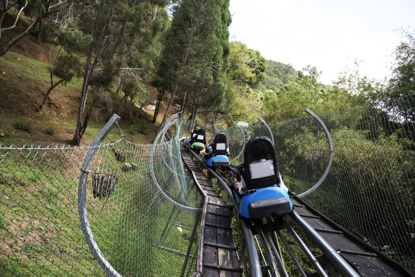 Rocky Top Mountain Coaster, United States